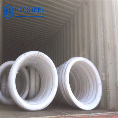 304 316L 410 0.07mm 0.13mm 1mm 2mm Soft EN/AISI Stainless Steel Wire